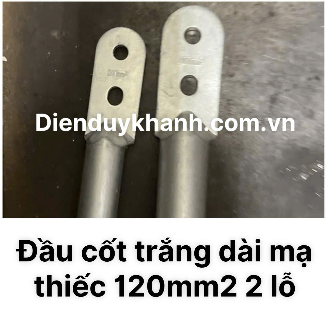 Đầu Cốt Đồng Mạ Thiếc 120mm2 2 Lỗ